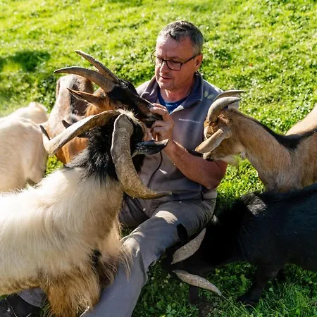 Unterreith Forstau (Salzburg)