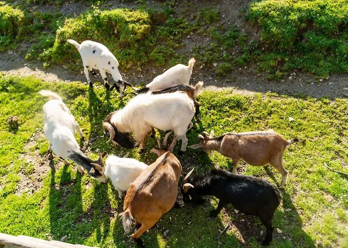 Unterreith Forstau (Salzburg)