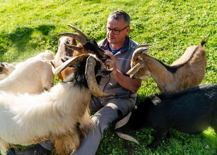 Unterreith フォルスタウ